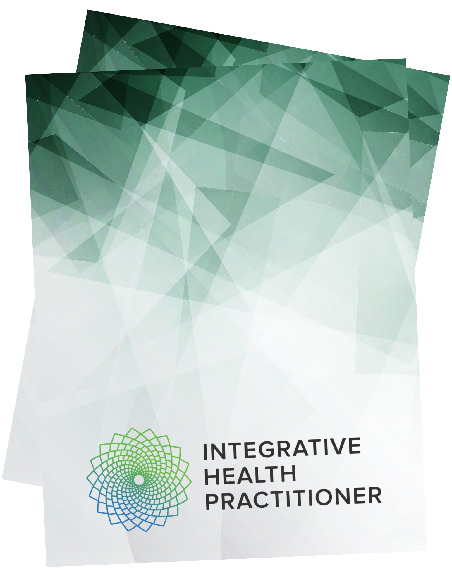 hph-brochure-page-integrative-health-practitioner