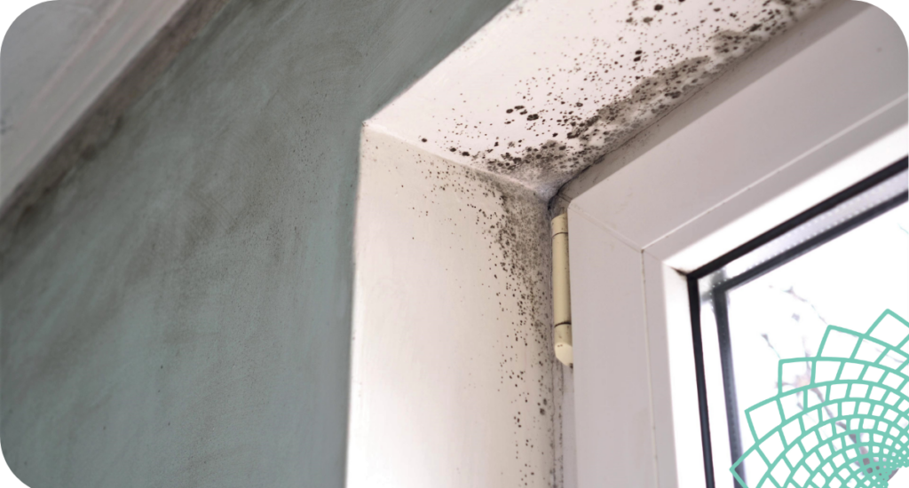 10 Signs You Might Have Mold Toxicity