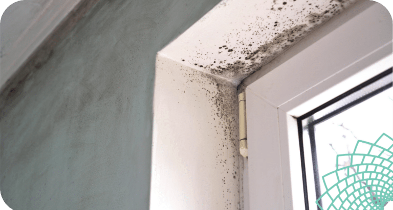 10 Signs You Might Have Mold Toxicity